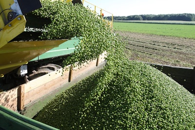 Pea Harvest