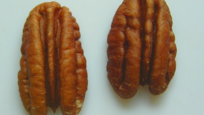 Pecans Wiki