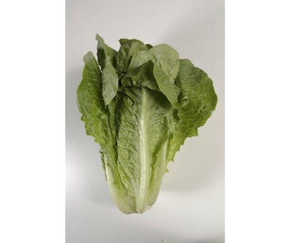 Romaine