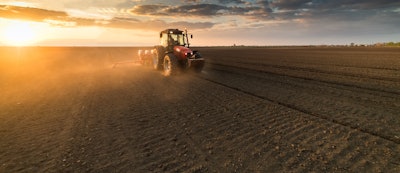 Farmer Planting Crops In Spring