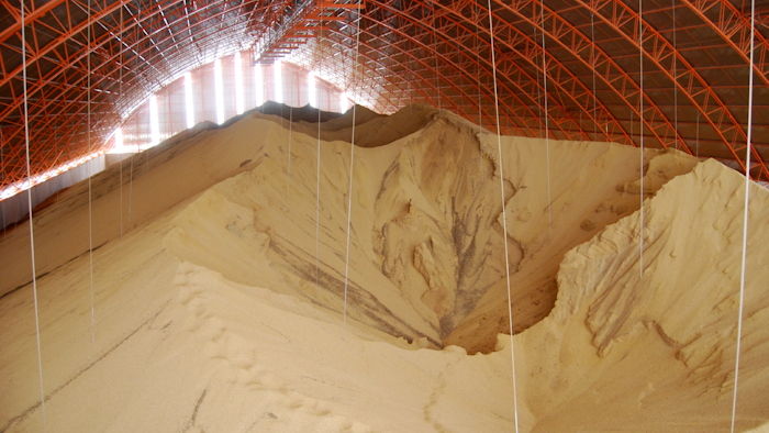 Soybean Storage Bin