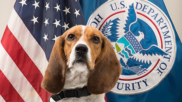 Flag Photo