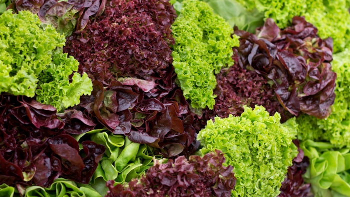 Green And Red Leaf Lettuce
