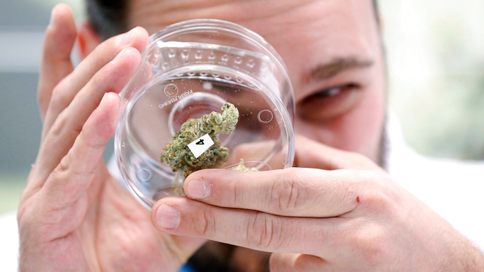 Marijuana Industry Ap