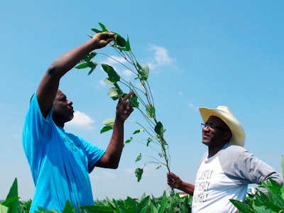 Soybean Farmer Suit Ap