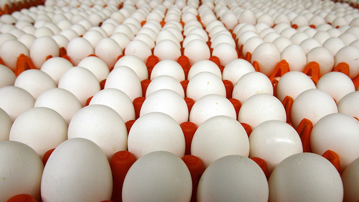 Eggs