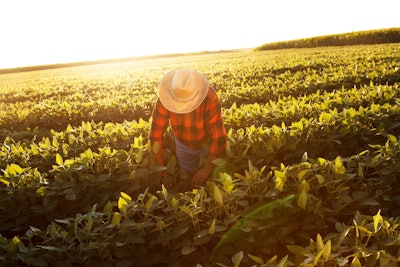 Farm Workers Labor Istock