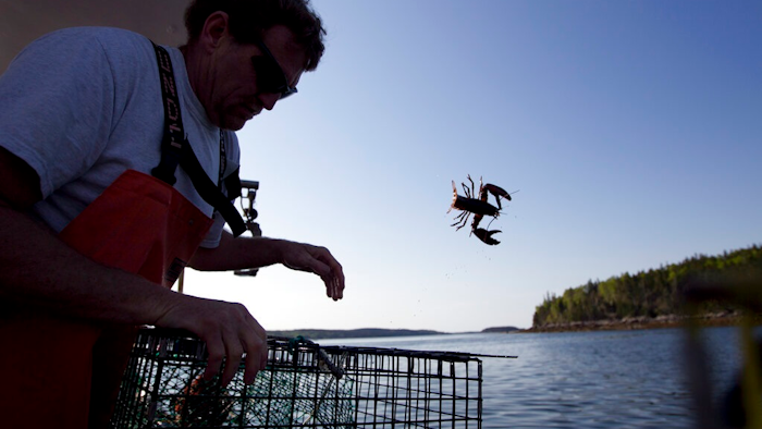 Lobster Boat Ap