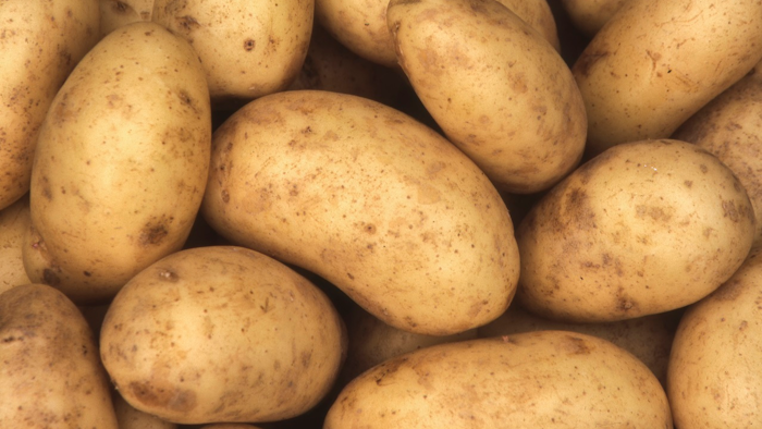 Potatos Istock