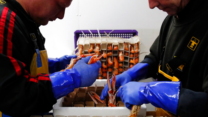 Seafood Industry Brexit Ap
