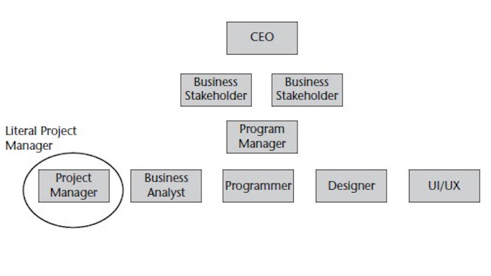 A clearer identification of who is in charge of software management is key to short and long-term success.