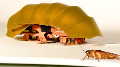 This photo shows the compressible robot, CRAM with a real cockroach. The common roach can withstand 900 times its own body weight without being hurt.