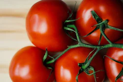 Tomatoes 56cdfe1dd4865