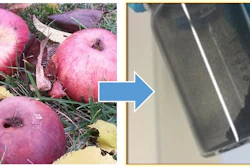The new carbon-based material for sodium-ion batteries can be extracted from apples.