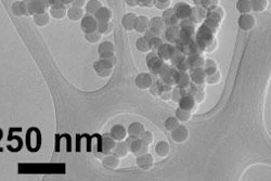UA researcher and paper co-author Reyes Sierra used an electron microscope to acquire this image of silica nanoparticles.