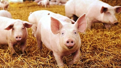 The utility is partnering with Carbon Cycle Energy, which will build a North Carolina facility to take methane from pig and chicken waste and send it to four of Duke Energy's plants to convert into energy.
