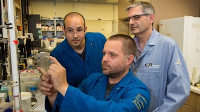 Paul Opgenorth, Tyler Korman and James Bowie (left to right) working in Bowie's UCLA laboratory.