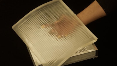 Columbia Engineering researchers have developed a novel sheet camera that can be wrapped around everyday objects to capture images that cannot be taken with one or more conventional cameras. They designed and fabricated a flexible lens array that adapts its optical properties when the sheet camera is bent. This optical adaptation enables the sheet camera to produce high quality images over a wide range of sheet deformations.