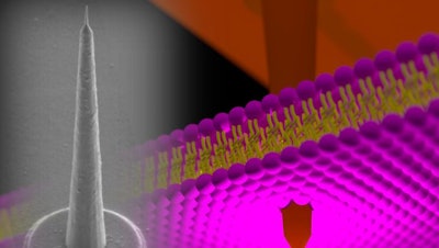 120-µm-height 'nanotower' electrode is punching a cell membrane. Silicon growth technology and three-dimensional nano/microfabrication techniques realize such high-aspect-ratio intracellular electrodes.