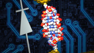 The University of Georgia and Ben-Gurion University research team site-specifically inserted a small molecule named coralyne into the DNA and were able to create a single-molecule diode, which can be used as an active element in future nanoscale circuits.