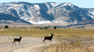 FILE-- In this Oct. 13, 2005 file photo, deer cross a road stripped of its asphalt at the former Rocky Flats Nuclear Weapons plant near Golden, Colorado. Attorneys say they reached a $375 million settlement late Wednesday, May 18, 2016, in a legal battle between the operators of the former nuclear weapons plant outside Denver and thousands of homeowners who said plutonium releases from the plant hurt their property values.