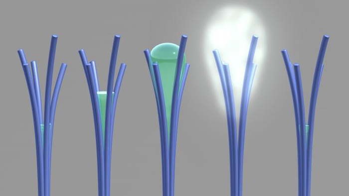 PNNL researchers saw for the first time a phenomenon that was theorized more than 20 years ago. Shown here is a PNNL illustration of the phenomenon, 'solvent cavitation under solvo-phobic confinement,' which PNNL researchers saw occur with carbon-rich nanorods they mistakenly created. PNNL's viewing of the phenomenon involved liquid spontaneously evaporating after being confined within tiny spaces in between touching nanorods. Image from S. Nune et al, Nature Nanotechnology, 2016.