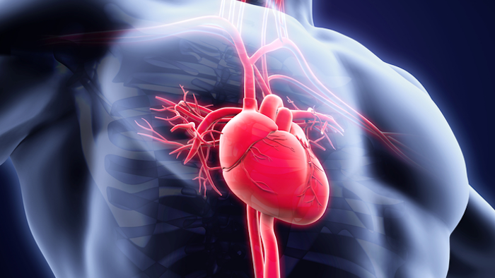 Jianyi 'Jay' Zhang, M.D., Ph.D. plans to robotically build and grow a mat of heart tissue made from individual cells, using a custom 3D printer.