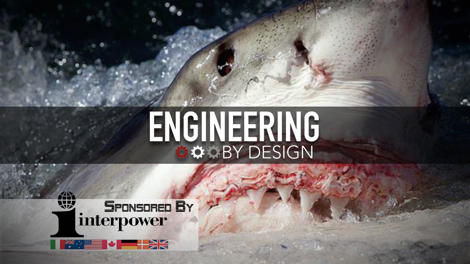 Engineering By Design: Shark Cam Captures Mysterious Great Whites