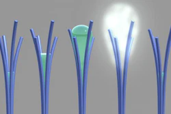 PNNL researchers saw for the first time a phenomenon that was theorized more than 20 years ago. Shown here is a PNNL illustration of the phenomenon, 'solvent cavitation under solvo-phobic confinement,' which PNNL researchers saw occur with carbon-rich nanorods they mistakenly created. PNNL's viewing of the phenomenon involved liquid spontaneously evaporating after being confined within tiny spaces in between touching nanorods. Image from S. Nune et al, Nature Nanotechnology, 2016.