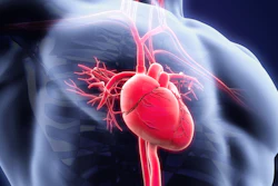 Jianyi 'Jay' Zhang, M.D., Ph.D. plans to robotically build and grow a mat of heart tissue made from individual cells, using a custom 3D printer.