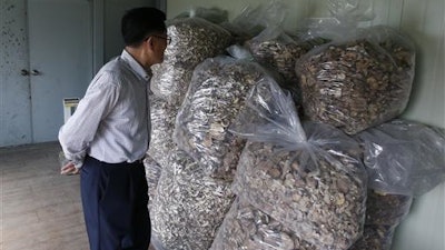 In this June 1, 2016 photo, scientist Lee T.B. who fled North Korea to South Korea, looks at packs of mushrooms at his newly-built laboratory in Hwaseong, South Korea. Lee has studied the fungi for decades and has created products with them that he believes may fight diseases including cancer, which killed his wife more than 25 years ago. He felt his work was constrained by, and ultimately even in some danger from, the North Korean government, so he fled to South Korea in 2005.