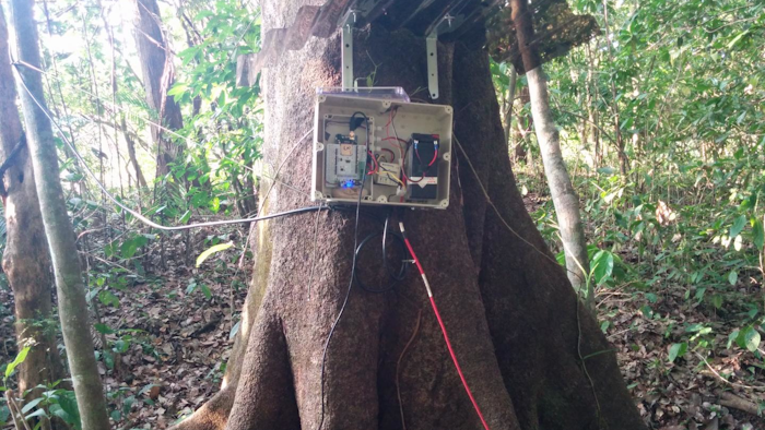 Automated data loggers were installed in the challenging conditions of the tropical wet-dry forest, here on private property along the Potrero River, Costa Rica.