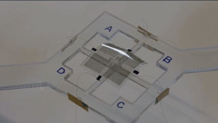 This soft muscle can move with low amounts of electricity. This type of actuator could be used in everything from wearable devices to soft grippers, laparoscopic surgical tools, entirely soft robots or artificial muscles in more complex robotics.