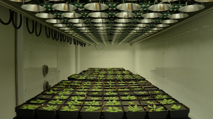 MSU builds high-tech test track to improve crop performance.