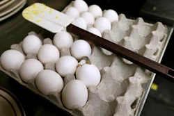 Eggs Ap 577e566da8d50