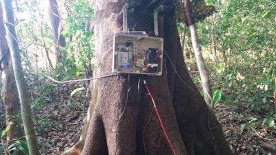 Automated data loggers were installed in the challenging conditions of the tropical wet-dry forest, here on private property along the Potrero River, Costa Rica.