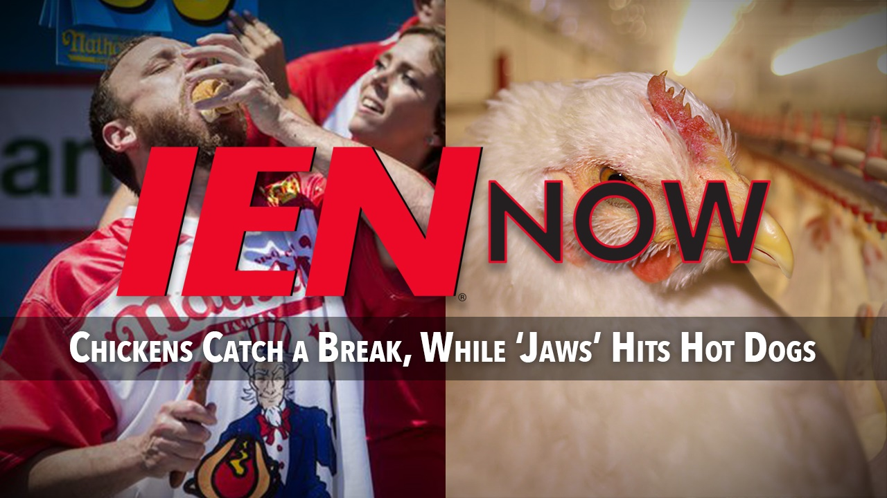 Ep105nowlogothumbnail 577d02555514e