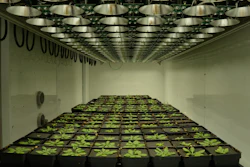 MSU builds high-tech test track to improve crop performance.