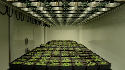 MSU builds high-tech test track to improve crop performance.