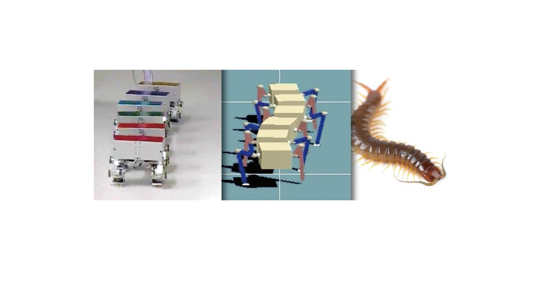 Robot Shimmies Like A Centipede | Industrial Equipment News