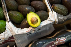 Avocado trees flourish at about the same altitude and climate as the pine and fir forests of Michoacan, the state that produces most of Mexico’s avocados. That has led farmers to fight a game of cat-and-mouse with authorities, thinning the forests and planting young avocado trees under the canopy.