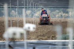 Crop analysis technology in wheat field trials at Earlham Institute.