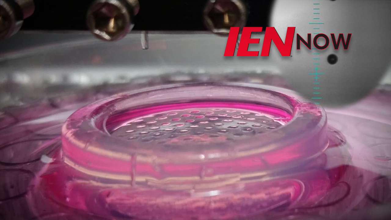 IEN Now: Five Ways 3D Printing May Improve Your Life