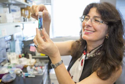 This is Harvard professor Joanna Aizenberg.