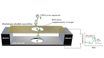 In NIST's proposed design for a DNA sequencer, a nanoscale ribbon of molybdenum disulfide is suspended over a metal electrode and immersed in water. Single-stranded DNA, containing a chain of bases (bits of genetic code), is threaded through a hole in the ribbon, which flexes only when a DNA base pairs up with and then separates from a complementary base affixed to the hole. The membrane motion is detected as an electrical signal.