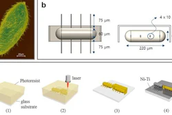A) This is a SEM image of microorganism, Paramecium, using ciliary stroke motion. B) Design layouts for artificial ciliary microrobots. C) Overall fabrication process for the ciliary microrobot using 3D laser lithography and metal sputtering. D) SEM image of ciliary stroke motion microrobots developed by Prof. Choi's research team (3D view, scale bar = 100 μm) E) SEM image of ciliary stroke motion microrobots developed by Prof. Choi's research team (top view, scale bar = 100 μm)