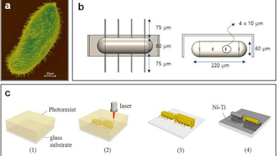 A) This is a SEM image of microorganism, Paramecium, using ciliary stroke motion. B) Design layouts for artificial ciliary microrobots. C) Overall fabrication process for the ciliary microrobot using 3D laser lithography and metal sputtering. D) SEM image of ciliary stroke motion microrobots developed by Prof. Choi's research team (3D view, scale bar = 100 μm) E) SEM image of ciliary stroke motion microrobots developed by Prof. Choi's research team (top view, scale bar = 100 μm)