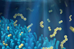 This is a computer visualization of villi-like battery material.