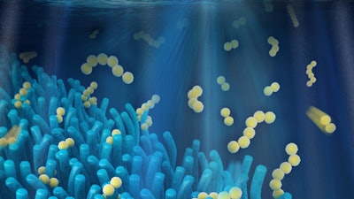 This is a computer visualization of villi-like battery material.