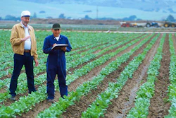 Crops Free Stock 57f6586364ec2